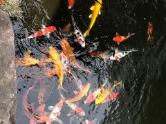 -杭州电子科技大学(下沙校区)