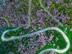 -永州阳明山国家森林公园
