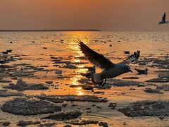 -金梦海湾浴场
