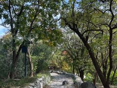 -阳台山自然风景区