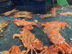 -龙宴海鲜城(经中路店)