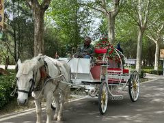 -石家庄市动物园