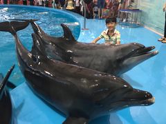 -尼莫海豚馆