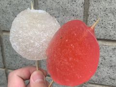 -粤北餐馆