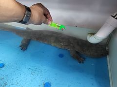 -潮信鱼头王(西环店)