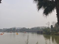 -枫香湖儿童公园