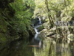 -燕子河大峡谷天坑仙境