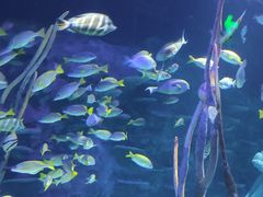 -沈阳海洋探索中心