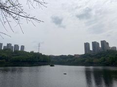 -重庆彩云湖湿地公园
