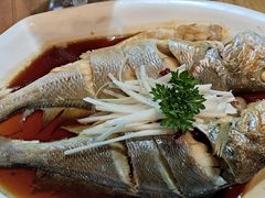 南海大黄花鱼-鲜小岛·铜锅涮肉