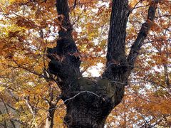 -终南山南五台景区