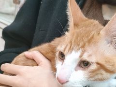 -宠颐生汉谟拉比宠物医院