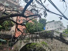 -小洲村