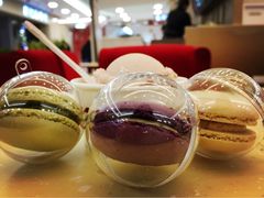 哈根达斯(新世界店)-哈根达斯(国瑞店)
