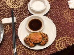 -新世纪大酒楼·30年南海菜