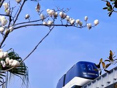 -枫香湖儿童公园