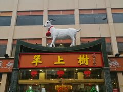 -羊上树(南门外店)