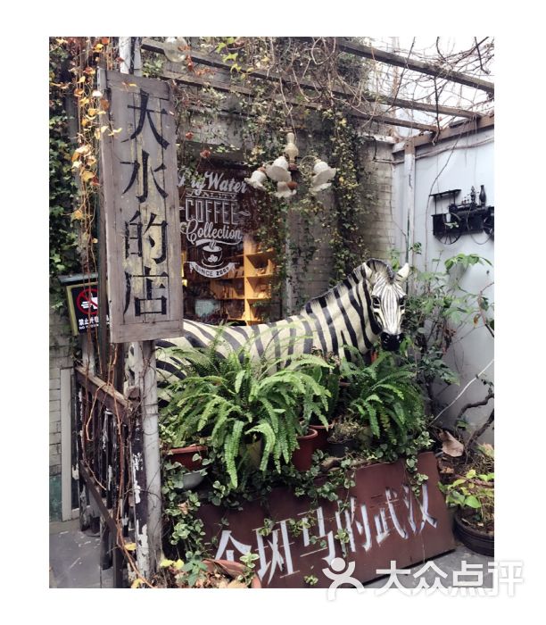 大水的店图片 - 第6张