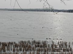 -丁香湖公园