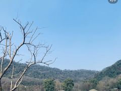 -八卦田遗址公园