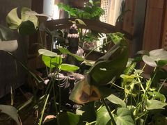 -邈墨茶馆(凤起路店)