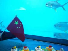 -瑞德姆美人鱼海底演艺主题餐厅(亚龙湾店)