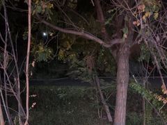 -藁城北服务区-停车场