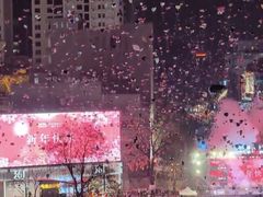 -南屏步行街
