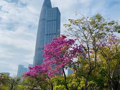 -深圳人才公园