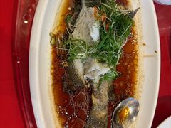 -新雅粤菜馆(南京东路店)