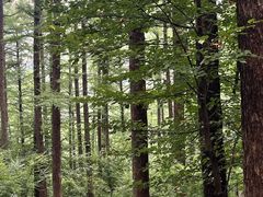 -崂山九水游览区
