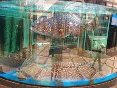 -金翠皇宫粤菜·点心·海鲜(科技园店)