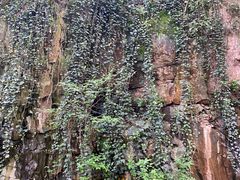 -上海佘山国家森林公园西佘山园