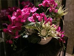 花&nbsp;(1)-小蓝鲸湖北菜(八一路店)