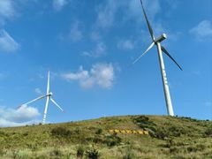 -龙里油画大草原旅游区