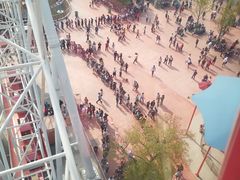 -自然谷恐龙园