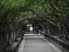 -烟台山景区
