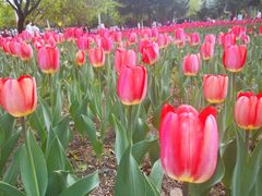 -长春公园(普阳街道)