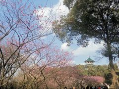 -无锡梅园公园