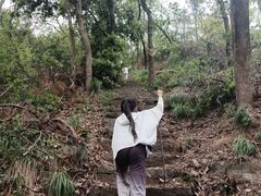 -青龙山国家森林公园