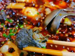 芋儿鸡-黑竹香鸡(营和巷店)