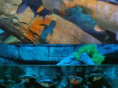 -沈阳海洋探索中心