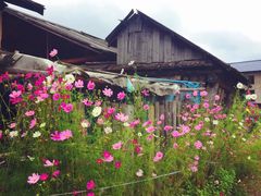 -北极村旅游风景区