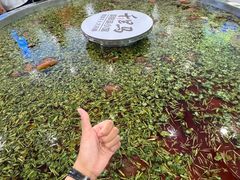 -鑫日千里马朝鲜族小馆(总店)