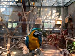 -大连森林动物园