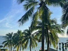 -日落吧·海景咖啡厅·餐酒吧·鸡尾酒·下午茶·乐队表演·浪漫夕阳·三亚文华东方酒店