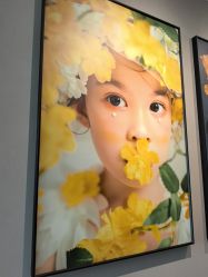 -大树儿童摄影
