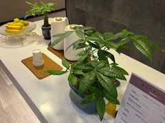 -康友四季(星汇广场店)