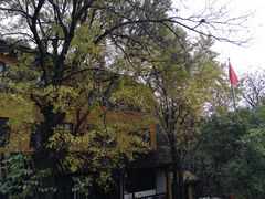 -雨花胜境