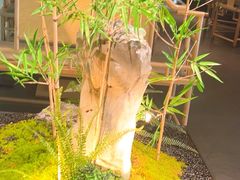 -绿茶餐厅(淮安吾悦广场店)